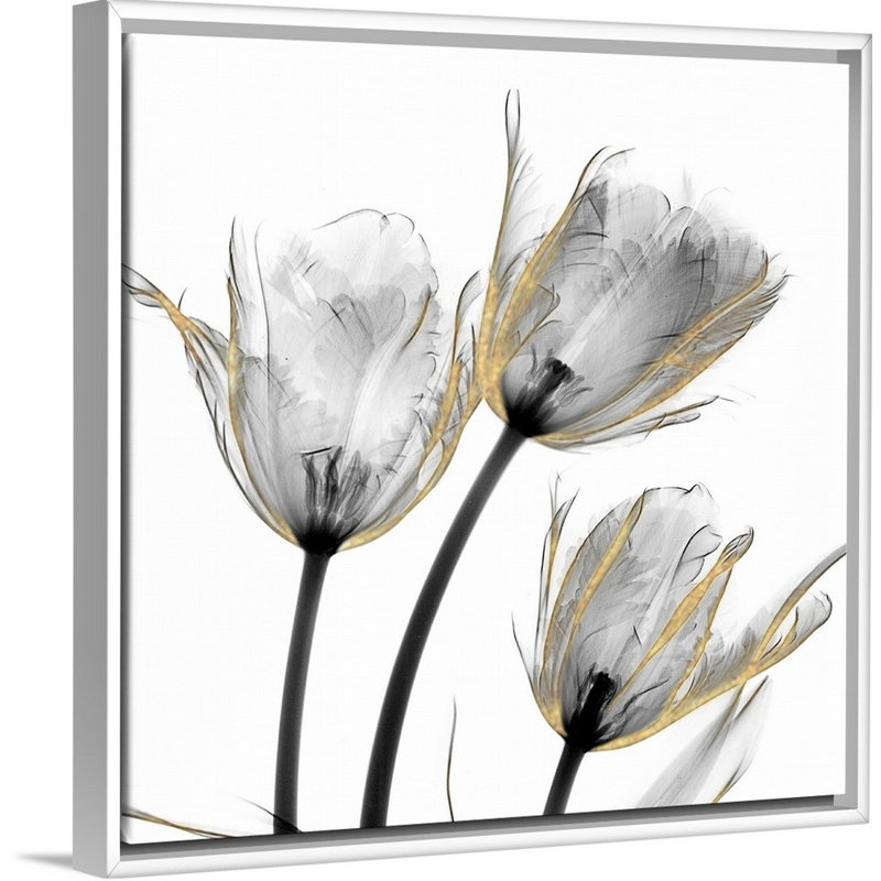 «Gold Embellished Tulips 2» par Albert Koetsier, reproduction d'art sur toile, H 32 po x l 32 po x P 1,75 po, Cadre blanc