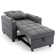Mianna Tufted Back Sofa Bed with Storage