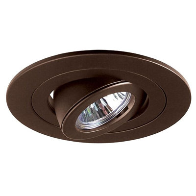 Low Voltage Adjustable Spot 4" Recessed Trim