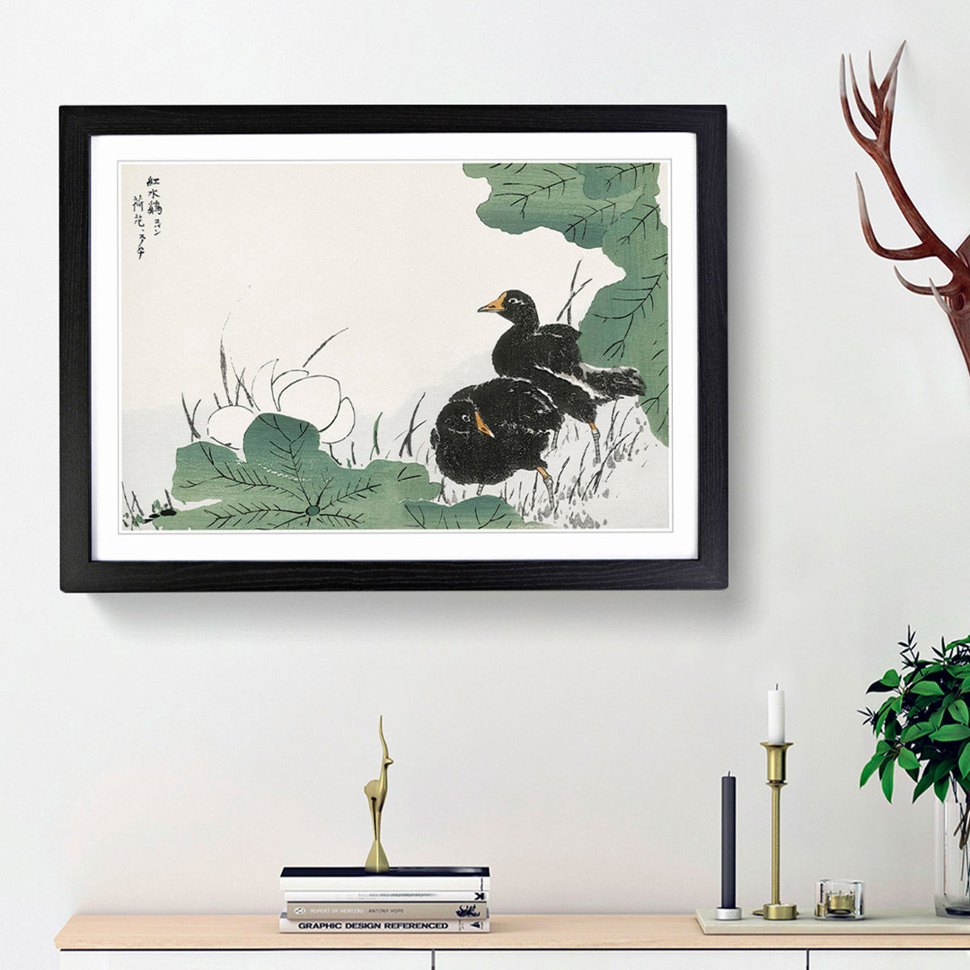 Coot Bird & Lotus Flower by Numata Kashu - Picture Frame Painting Print