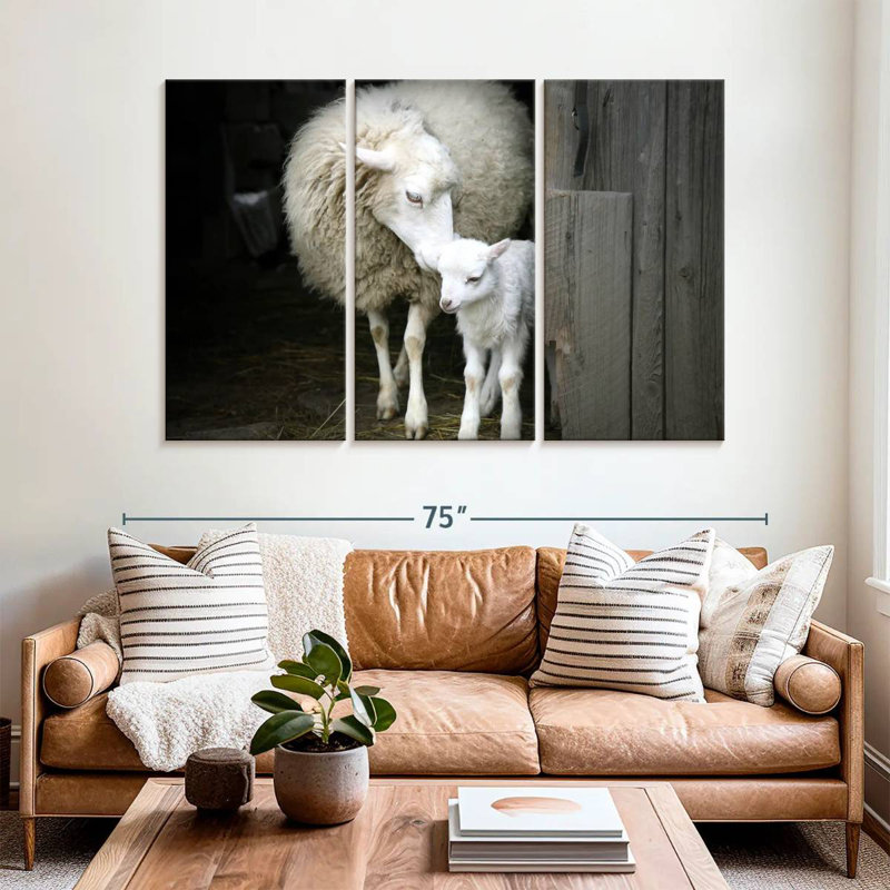 Mouton Brampt, H 42 po x l 65 po