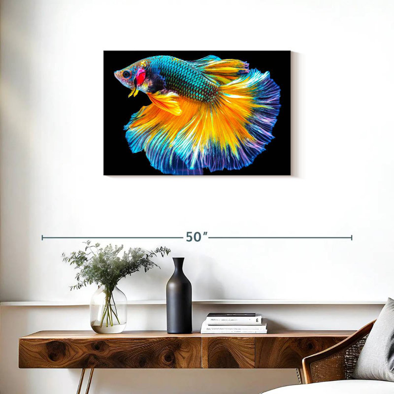 Poisson Betta Brampt multicolore, H 20 po x l 30 po