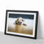 Fawn Pug Dog - Picture Frame Graphic Art Print-55730952-55730951
