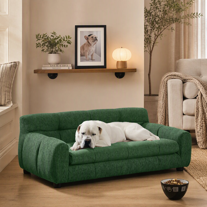 Canapé pour animaux doux et confortable avec dossier et accoudoirs, adapté aux chiens de petite et moyenne taille, design rectangulaire moderne