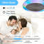 Ceiling Fan with LED Lights