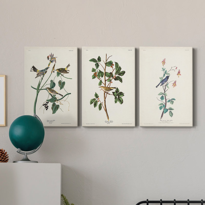 Pl. «153 Yellow-Rump Warbler», ensemble de 3 impressions sur toile tendue, H 18 po x l 36 po x P 1 po