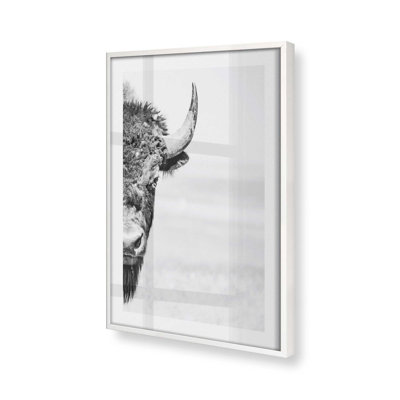Wild Stare Print