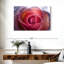 Rose brumeux Harnek-111981960