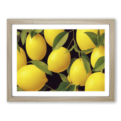 Selection of Lemon Fruit Vol.3 - Framed Print
