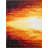 Sidney Abstract Indoor Rug-19499245