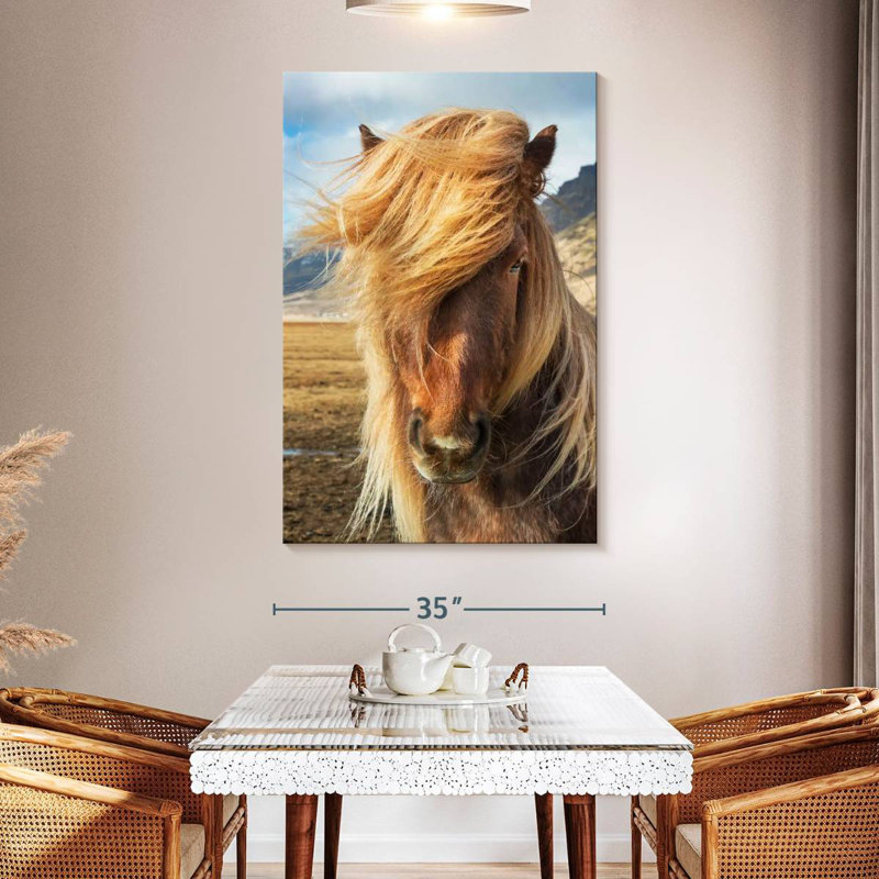 Brampt, chevaux islandais dans la campagne I, H 51 po x l 34 po