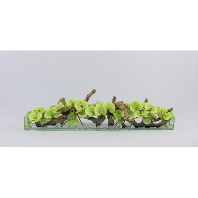 Orchids Floral Arrangements in Planter