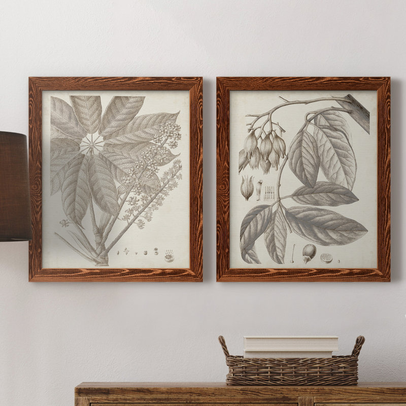 " Sepia Exotic Plants V " 2 - Pieces, 20" H x 24" W x 1" D, Maple Framed