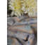 River Peace Lumbar Pillow Cover & Insert