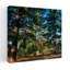 Ponderosa pine tree forest Kaibab National Forest Arizona USA. 1 Piece Wrapped Canvas Wall Art-488717405