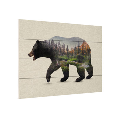" The North American Black Bear " by Davies Babies