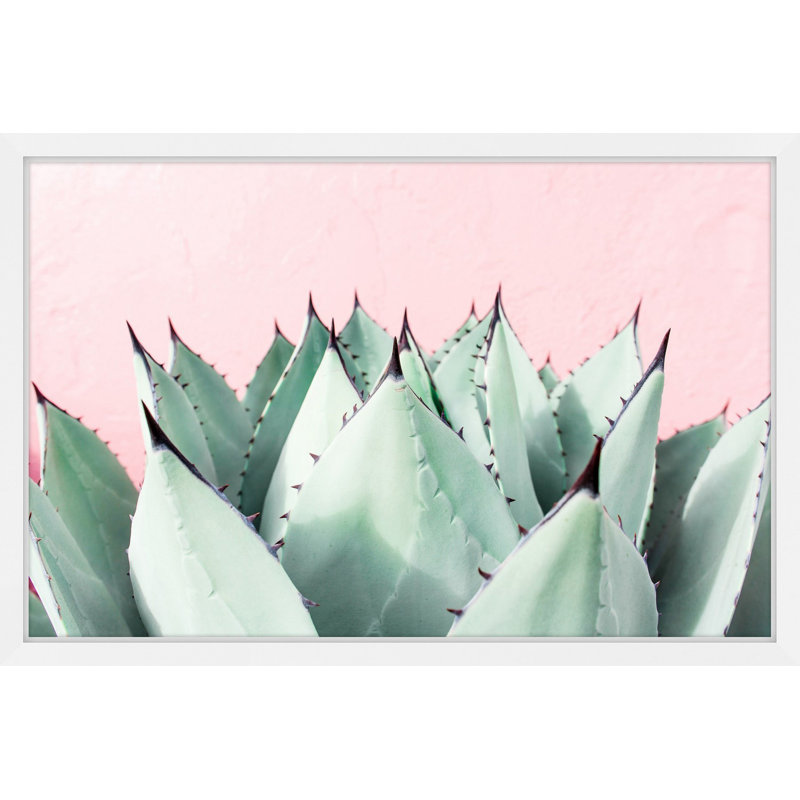 Abdirazaq Sweet Succulents - impression sur papier, Cadre blanc, H 8 po x l 12 po x p 1,5 po