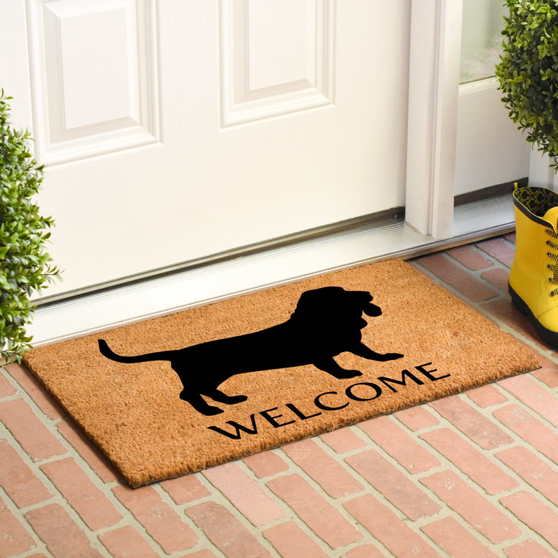 Tapis de porte pour l’extérieur antidérapant basset hound Rachita, L 0,6 po x l 36 po x P 24 po