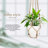 3Pcs Macrame Plant Hanger Indoor Hanging Planter Basket with Wood Beadsand Hooks Decorative Flower Pot Holder No Tassels for Indoor Outdoor Boho Home Decor 35 Inch, Ivory, Set of 3 (POTS NOT Included)-782664781