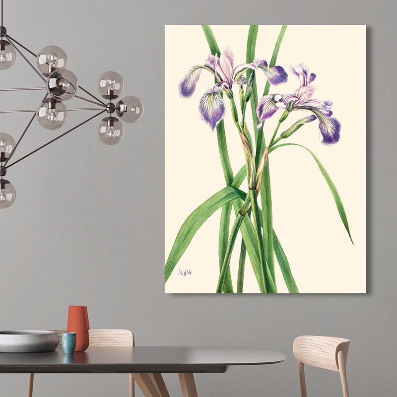 Blueflag Iris, 1919 by Mary Vaux Walcott - Art Prints on Canvas, 100cm H x 70cm W x 4cm D