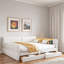 Upholstered Daybed With Usb And 2 Drawers-955355553