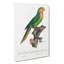 Yellow-Headed Amazon Parrot by F. Levaillant - Wrapped Canvas-55319906