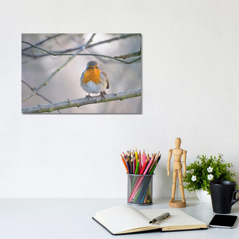 Robin by Mateusz Piesiak - Wrapped Canvas Print, 20.32 cm H x 30.48 cm W