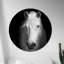 Curious White Horse Print-24078583