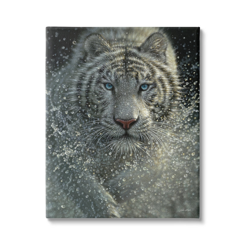 Portrait d'un tigre du Bengale blanc féroce faisant éclabousser l'eau par Collin Bogle - photographie, Toile tendue