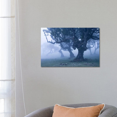 Ents II 1 Piece Wrapped Canvas Wall Art