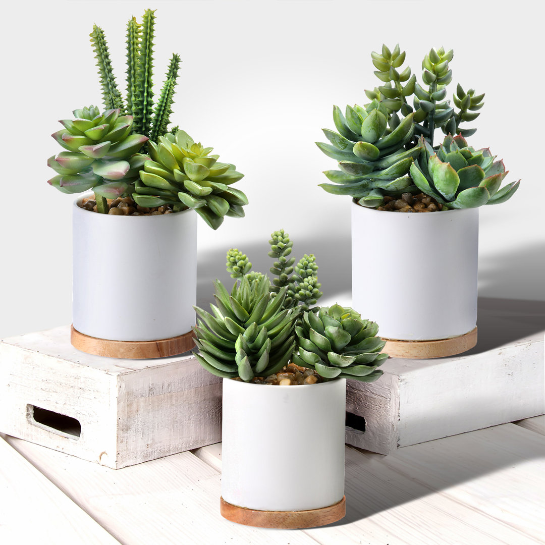 7'' Faux Succulent Plant in Ceramic Pot Wade Logan®