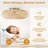 Shaunte 19.6'' Ceiling Fan