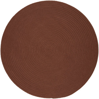 Smyth Hand Braided Synthetic Indoor Rug