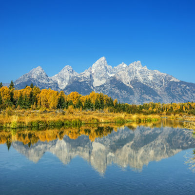 Fall Glory At Grand Teton by Vkbhat - No Frame Print on Canvas