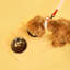 Mangeoire pour animaux Keaton-99366361-99366360
