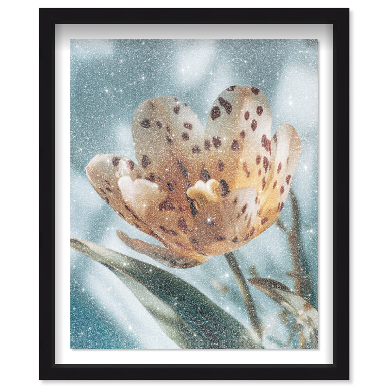 Dapple Bloom II Framed Graphic Art, 31.5"H x 25.5"W, Black Shadowbox