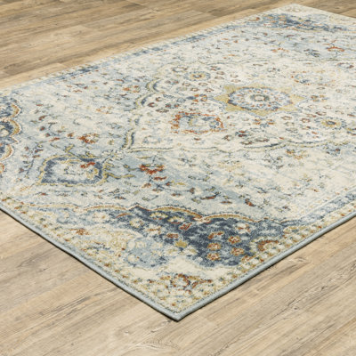 Howard Beach Oriental Indoor Rug