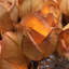 Vold LED Handmade Paper Roses String Light-1753705789