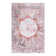 Oriental Indoor Rug