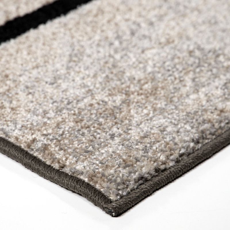 Latitude Run Aaron Geometric Charcoal Stain Resistant Area Rug, Rectangle  7'10" x 10'10"