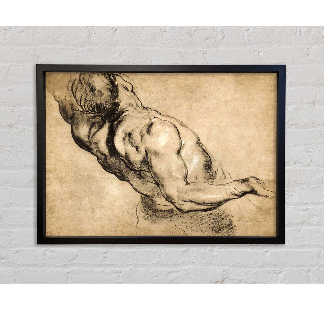 Study Of Mans Torso von Peter Paul Rubens - Einzelne Bilderrahmen Kunstdrucke auf Leinwand