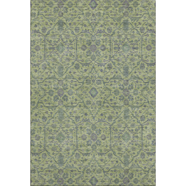 Premium Machine Washable Ducote AMF1131 Global Rug
