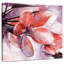 Cerisier japonais Harnek-109214465