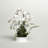 Orchid Arrangement in Planter