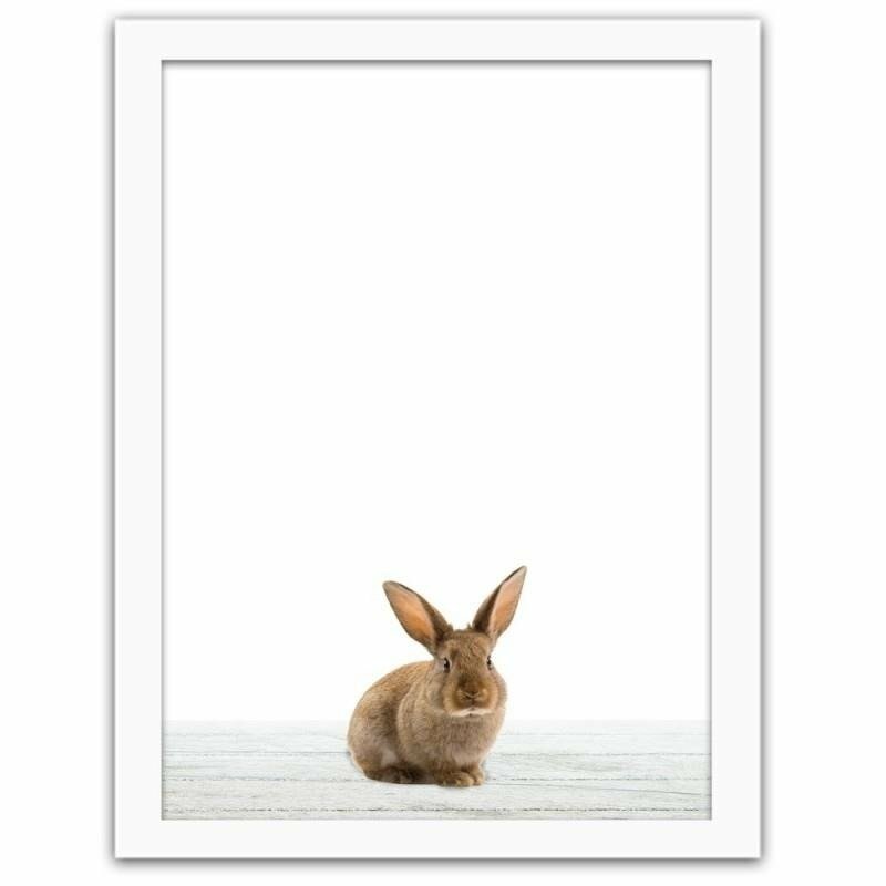 Gerahmter Fotodruck The Rabbit