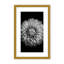 Nature Inspired Marigold by  - Picture Frame Photograph on Paper-81388028-131284511-131284589
