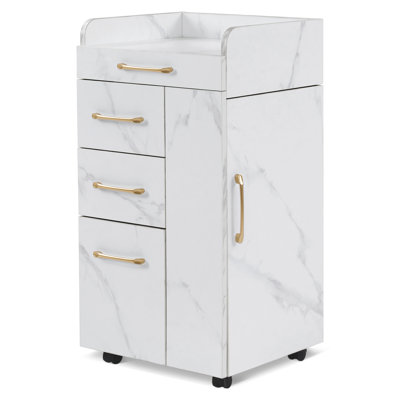 Lechia Storage Cabinet with Drawer, Tool Holders, Locking Wheels for Salon