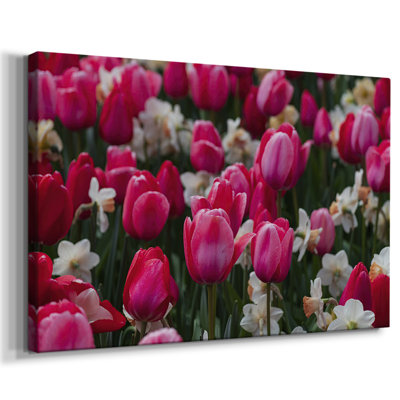 Looks like Spring -Gallery Wrapped Cavas