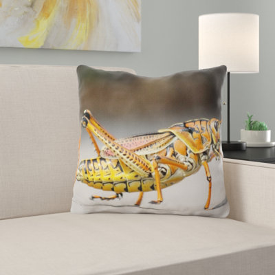 Coussin sauterelle