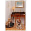 Zyaire Oval Pet Bed-567186011-648829765